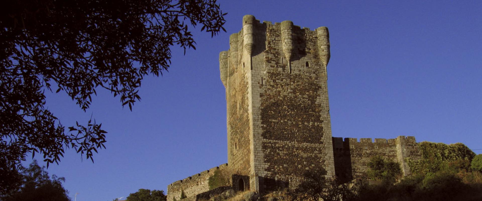Monleón Castle