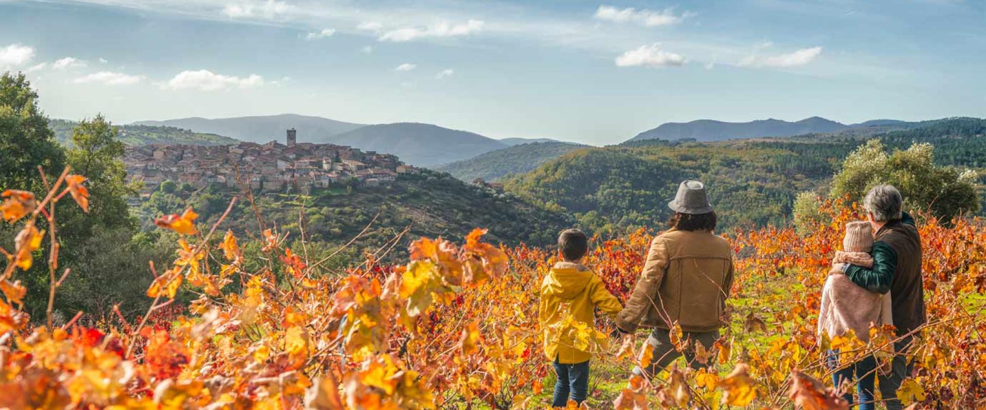 Ruta del Vino Sierra de Francia