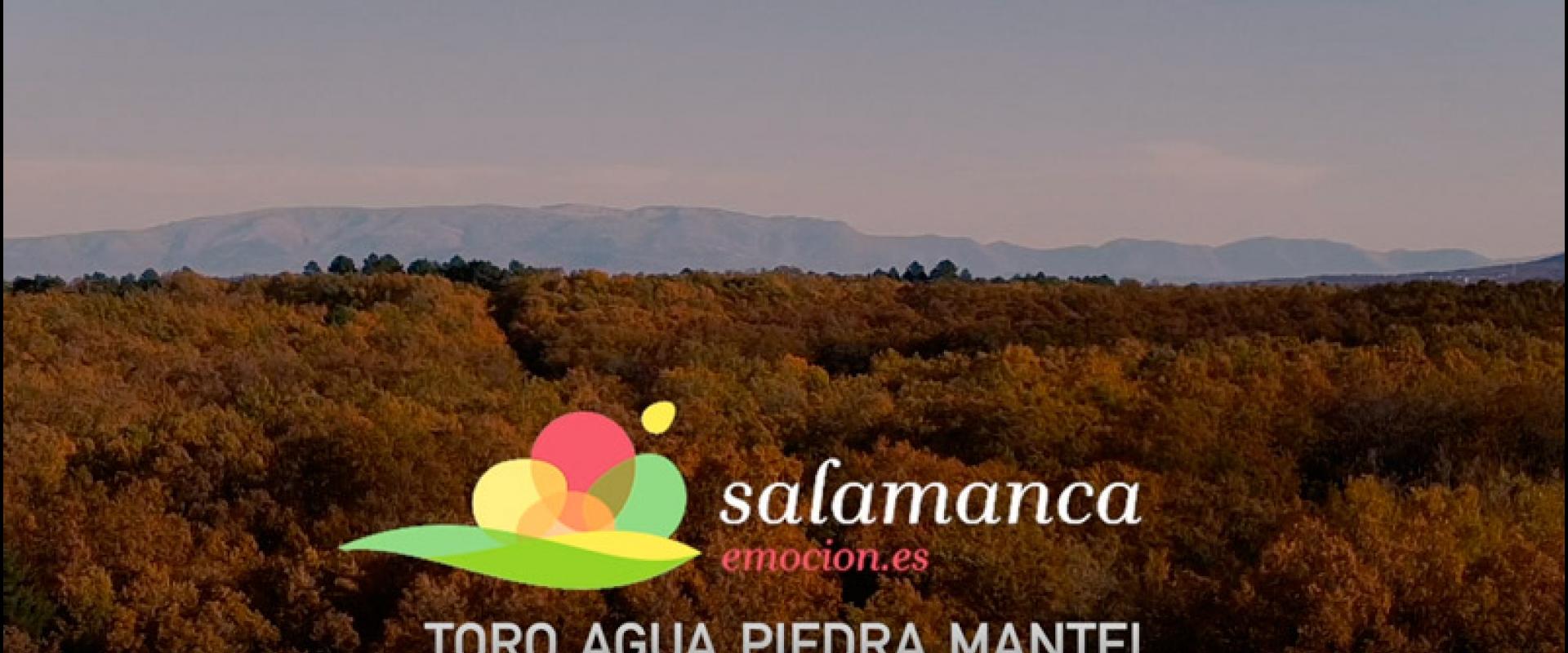 Imagen del video spot Salamanca Emociones: Toro, agua, piedra, mantel