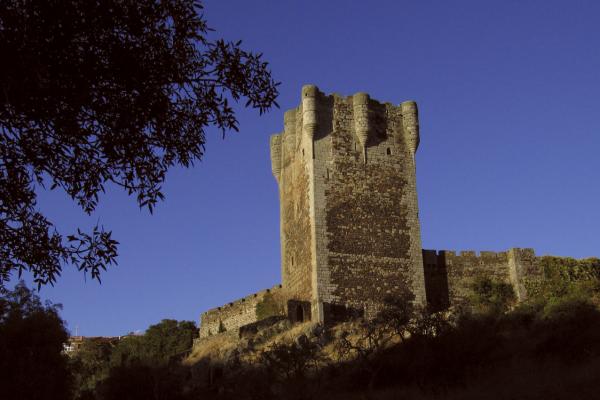 Monleón Castle
