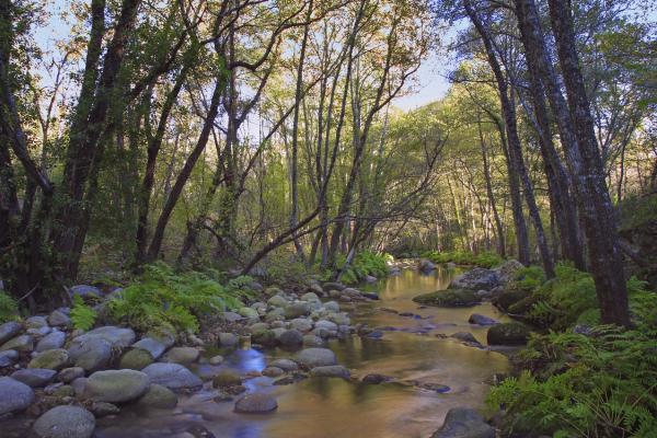 Accesible Hiking in the Natural Park Las Batuecas – Sierra de Francia