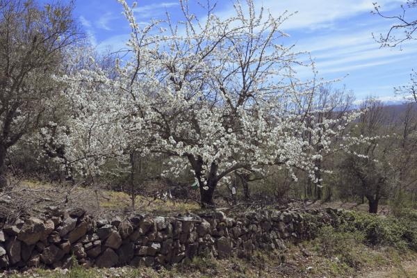 Percurso dos miradouros das Serras