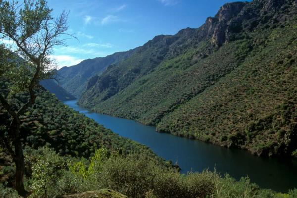 Parque natural Arribes del Duero