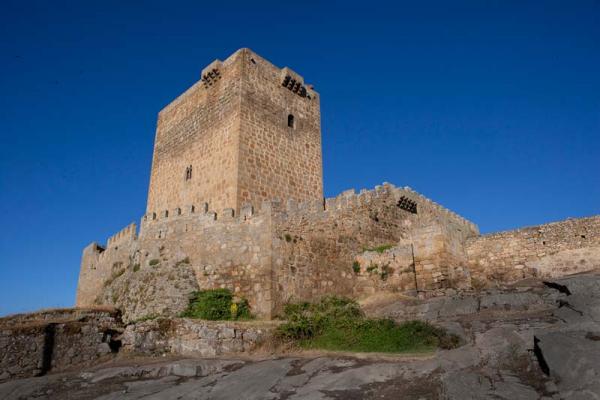 Castillo de Puente de Congosto
