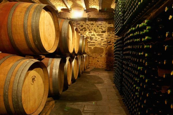 Wine Sierra de Salamanca