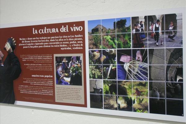 Museu do vinho e dos destilados, em Villarino de los Aires