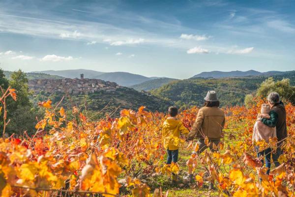 Ruta del Vino Sierra de Francia