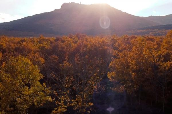 Imagen del video spot Salamanca Emociones: Toro, agua, piedra, mantel