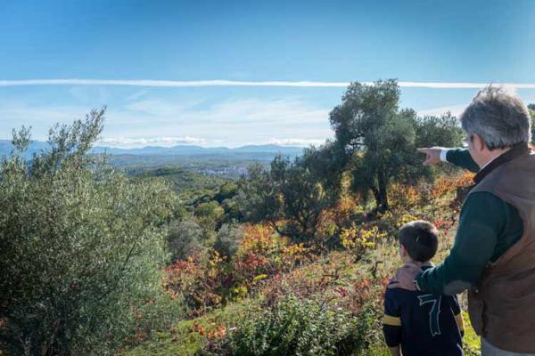Mil Otoños de Salamanca