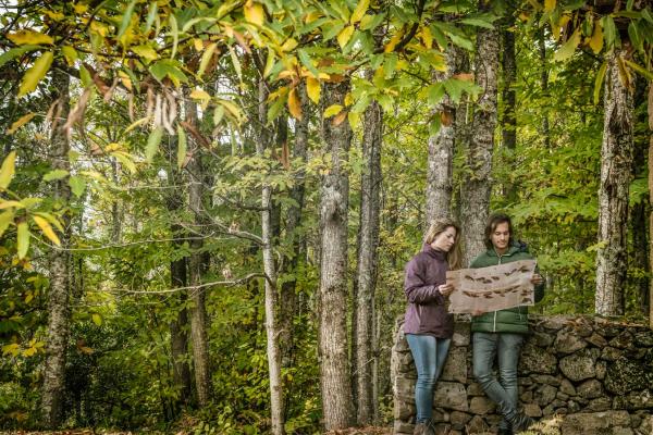 Mil Otoños de Salamanca